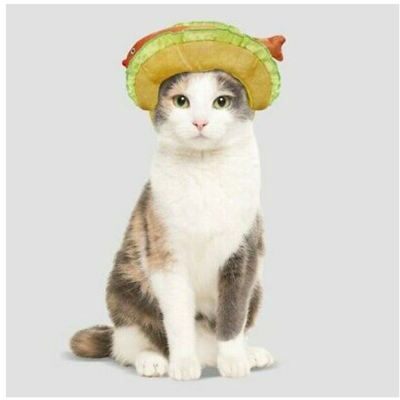 Hyde And Eek Cat Crab Fish Taco Costume Halloween Red Shiny Headpiece Hat NWT - Picture 3 of 7